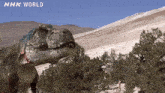 T-rex Tyrannosaurus GIF - T-rex Tyrannosaurus GIFs