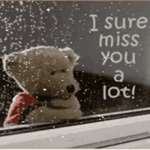 I Sure Miss You A Lot Missing You GIF