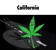 California Weed GIF - California Weed GIFs