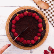 a cake with raspberries and oreos on a wooden cutting board