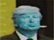 Trump Donald GIF - Trump Donald Donald Trump GIFs