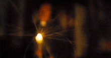 a close up of a lit candle in the dark with smoke coming out of it