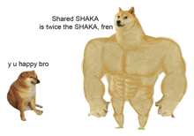 Shaka Share The Shaka GIF