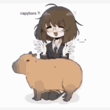 Capybara Anime Girl GIF - Capybara Anime Girl Capybara Anime Girl GIFs