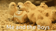 Me And The Boys Grim Orchard GIF - Me And The Boys Grim Orchard Chicken GIFs