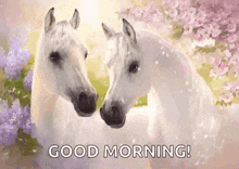 two white horses are standing next to each other in a field with flowers and the words `` good morning '' .