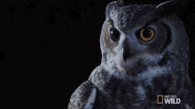 Look Away Great Horned Owl On The Hunt GIF