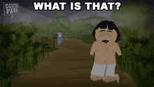 what is that randy marsh south park s23e5 tegridy farms halloween special