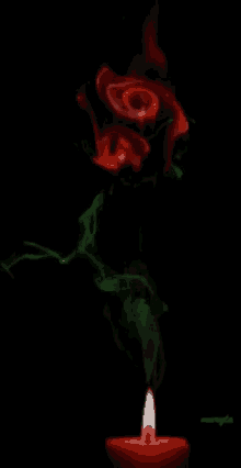 Candle Rose GIF