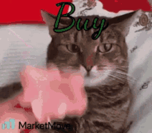 Buy Cat GIF - Buy Cat Meme GIFs