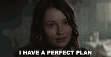 I Have A Perfect Plan Emily Browning GIF
