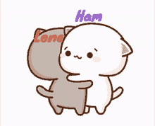 Cat Lone Hug Ham GIF - Cat Lone Hug Ham GIFs