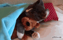 Kitten Snuggle GIF - Kitten Snuggle Hug GIFs