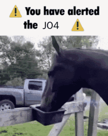 Jo4 Horse GIF - Jo4 Horse You Have Alerted The Horse GIFs