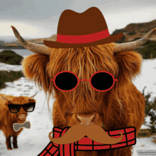 Hipster Cows GIF - Hipster Cows Deanwebb GIFs
