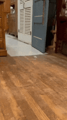 a wooden floor in a room with a blue door behind it