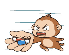 monkey medicine take your meds