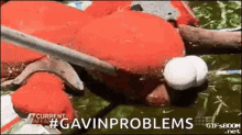 Gavin Garbage GIF