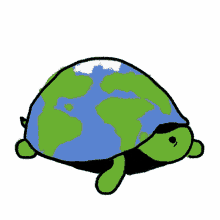 turtle think