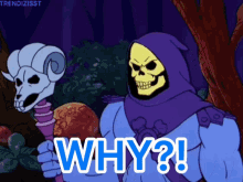 Why Skeletor GIF - Why Skeletor Masters Of The Universe GIFs