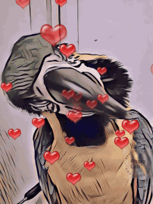Macaw Love GIF - Macaw Love Vior GIFs