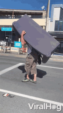 Couch Carry GIF - Couch Carry Strong GIFs