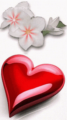 फूल दिल GIF - फूल दिल प्यार GIFs