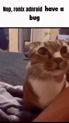 Nox GIF