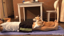Workout Exercise GIF - Workout Exercise Cute Dog GIFs