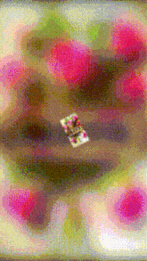 a blurred image of a flower in a vase with pink flowers in the background