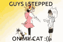 Cat Cat Owner GIF - Cat Cat Owner Anime GIFs