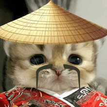 a cat wearing a straw hat and a mustache is holding a bag that says ramen