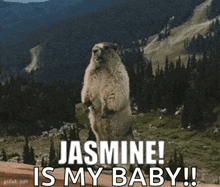 Jasmine Beaver GIF