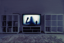 Tv Home GIF