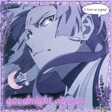 a picture of a man with the words goodnight sigma on it
