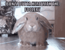 Bunny Outta Here GIF - Bunny Outta Here Foolery GIFs