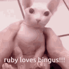 Ruby Loves Bingus Bingus GIF - Ruby Loves Bingus Bingus GIFs