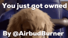 Airbud Dog GIF - Airbud Dog Air Bud Burner GIFs
