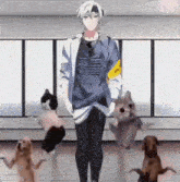 a man is standing next to a group of dogs and cats .