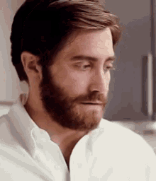 Jake Gyllenhaal What GIF - Jake Gyllenhaal What Omg GIFs