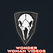 Agent Wonder Woman GIF