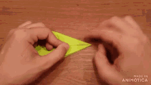 a person is holding a piece of green paper and the words made in animatica are visible