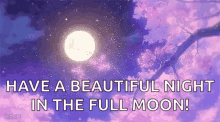 Moon Have A Beautiful Night GIF - Moon Have A Beautiful Night Full Moon GIFs