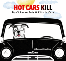 a black car with a dog sticking its head out the window and the words hot cars kill below it