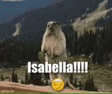 Isabella Come Here GIF - Isabella Come Here Scream GIFs