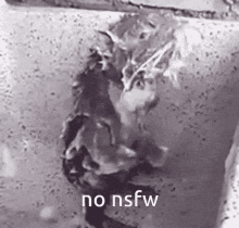 rat shower no nsfw