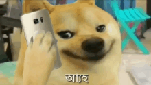 আ্যহ Bangla Doge GIF - আ্যহ Bangla Doge Ah GIFs