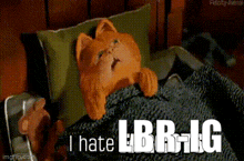 a stuffed cat is laying in bed with the words i hate lbr-ig