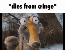 a cartoon of a squirrel with big eyes and the words " dies from cringe " below it