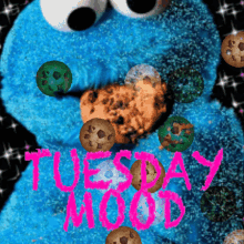 Cookie Monster GIF - Cookie Monster Tuesday GIFs